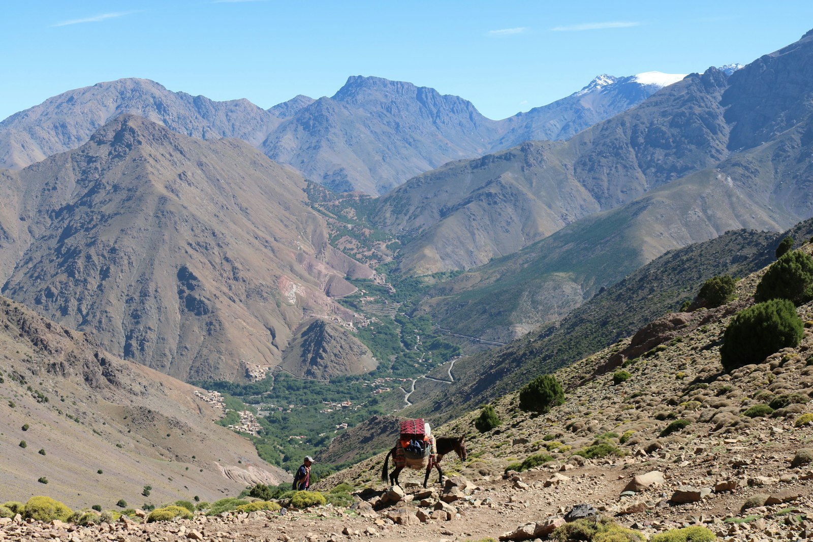 Mule trek in the High Atlas mountains